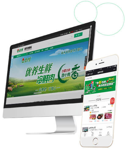 跨境電商商城網(wǎng)站建設